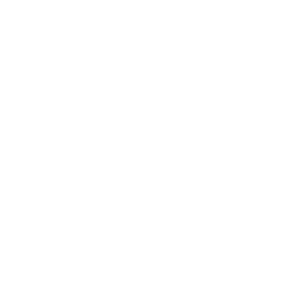Vector