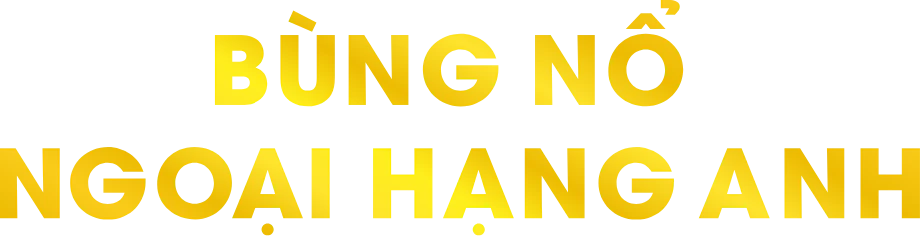 Vector